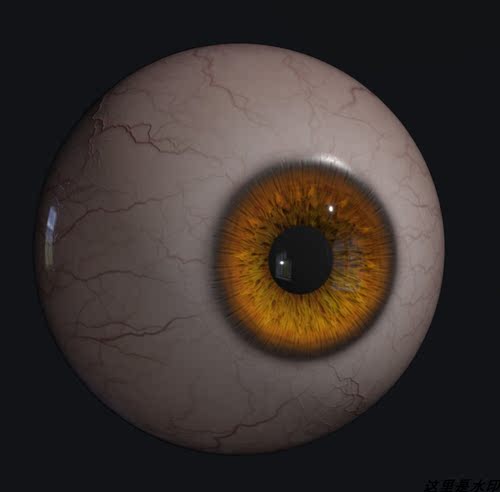 写实人类眼球 包含ZB,FBX,PS文件附八猴4参数及shader调控57