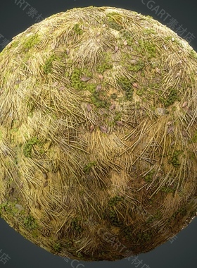 Substance Designer风格化青苔茅草屋顶材质sd秸秆sp麦子sbs材质