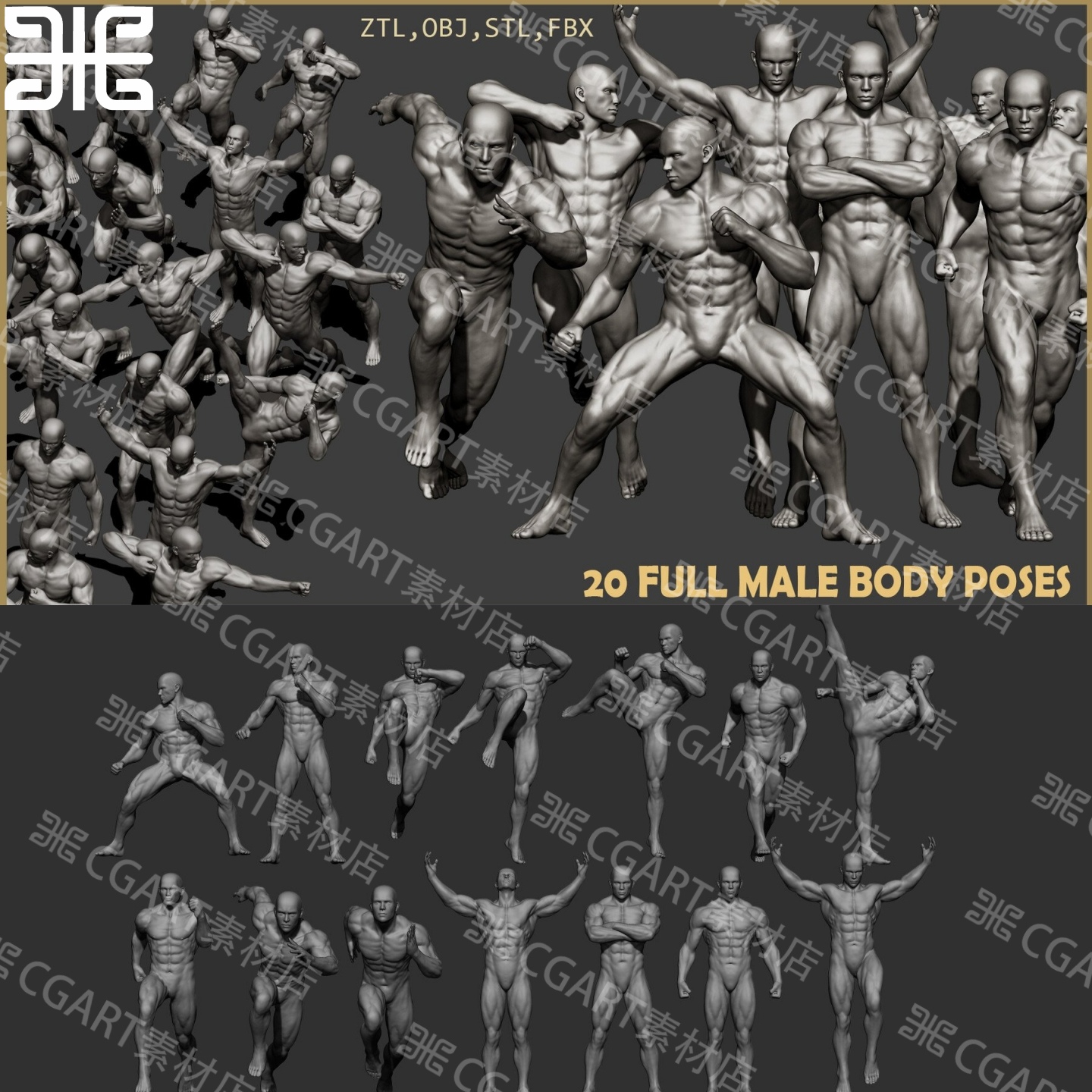 zbrush男性人体肌肉男运动姿势3d模型STL图纸人物素体角色高模ZTL