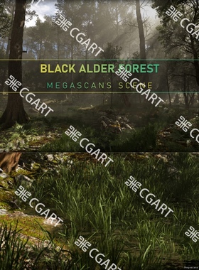 UE5虚幻引擎写实黑桤木森林植物树木场景Black Alder Forest教程