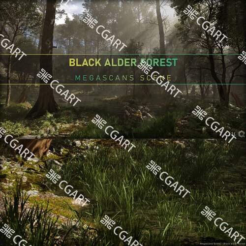 UE5虚幻引擎写实黑桤木森林植物树木场景Black Alder Forest教程