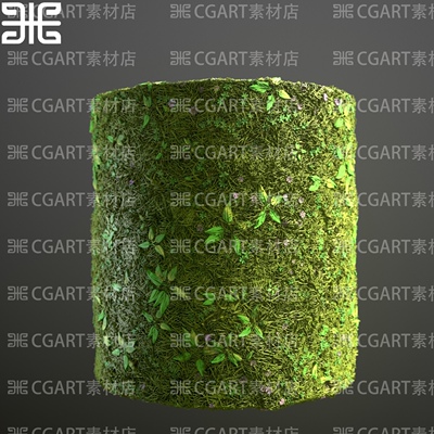 Substance Designer程序化地面水坑湿泥土杂草碎石头纹理sd材质球