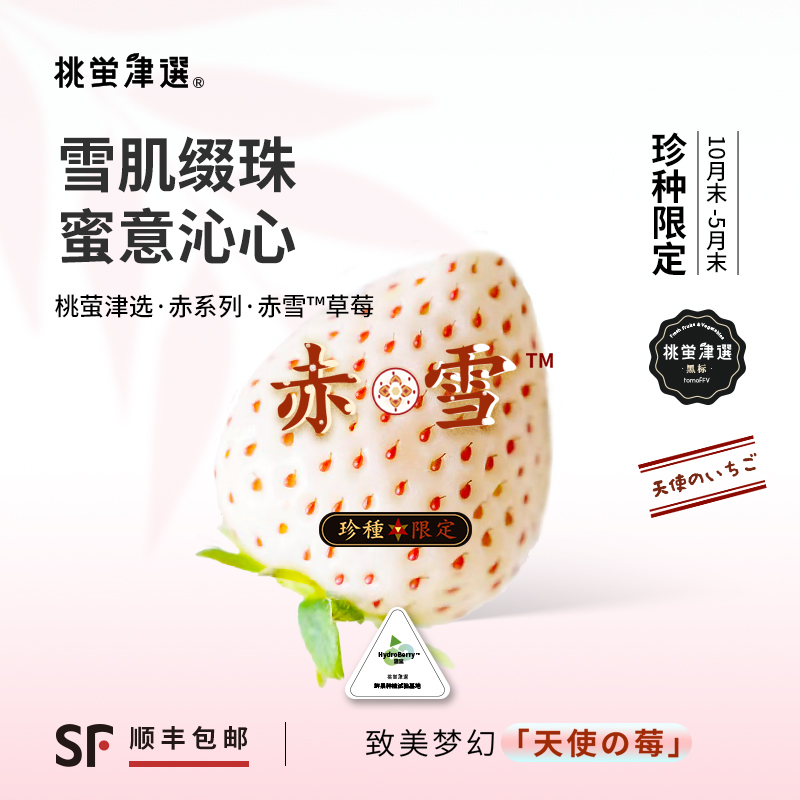 日引梦幻「天使の莓」—赤雪™