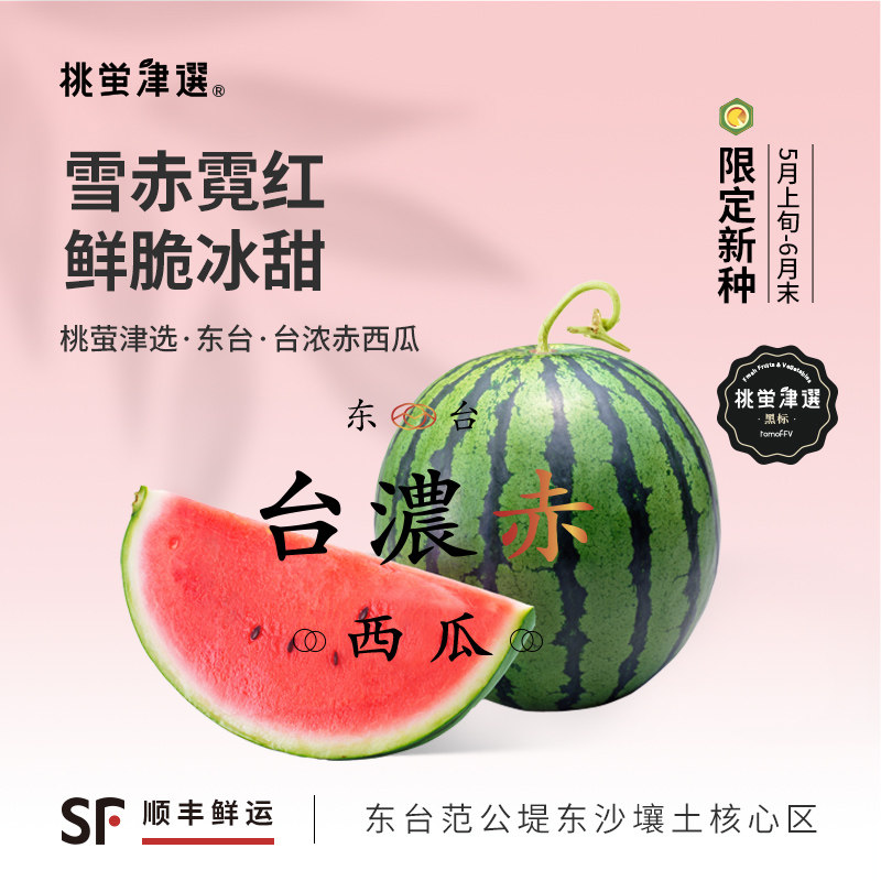 赤肉“麒麟”新种！台浓赤西瓜
