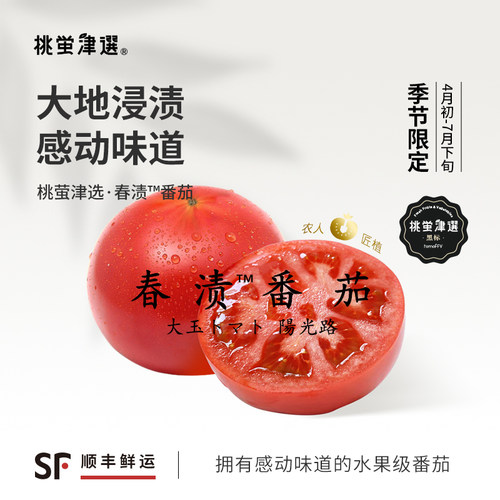 10年匠植！春渍™高鲜番茄礼盒装