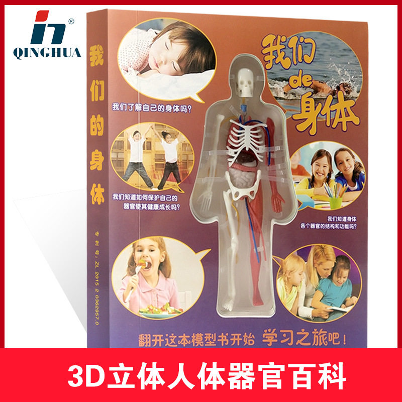 人体器官玩具探索人体百科骨骼结构书图全身模型骨架内脏仿真