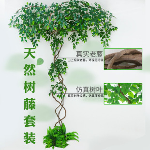 仿真树叶树枝树藤假叶子客厅室内绿植盆栽藤蔓假花藤条植物墙装 饰