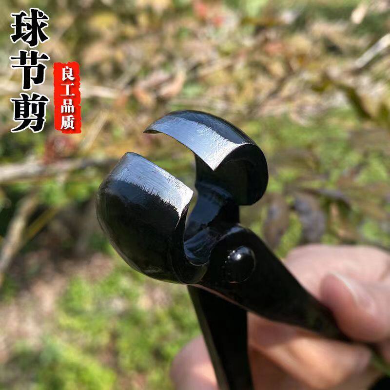 盆景工具球节剪盆栽树瘤修枝剪叶芽剪园艺制作养护造型球钳全套