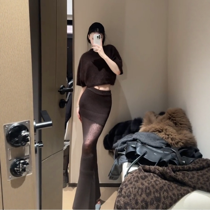 高级感时尚圆领短款针织衫上衣女秋冬新款气质包臀半身长裙两件套