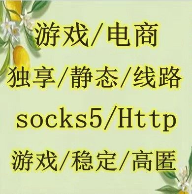 游戏socks5 http大带宽独享高服务器 稳定静态 sk5  独享单窗口