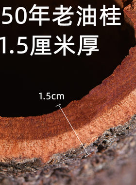 150年油桂广西高山紫油桂足干