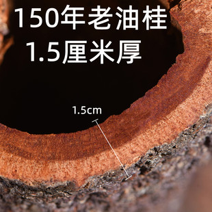 150年】广西中药材清化高山紫油桂企边官玉肉桂皮足干无硫非越南