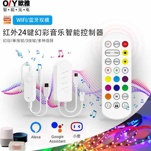 热卖24键涂鸦WiFi幻彩led灯条控制器 红外智能语音三键控制