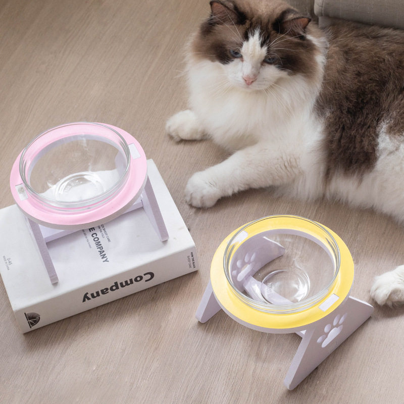 玻璃猫碗高脚保护颈椎猫粮碗猫咪狗猫盆饮水碗宠物陶瓷碗拆装架子,宠物/宠物食品及用品,猫狗碗/慢食碗,淘宝优惠券,粉丝福利购,淘宝优惠卷