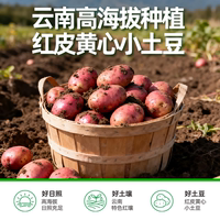 Dian Erwa Glutinous Black Pepper Yellow-fleshed small potatoes, ready-to-eat soft and glutinous zero-fat dried vegetables, fitness meal replacement snacks thumbnail 4