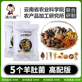 农科院菌汤包云南特产七彩菌菇汤包汤料包煲鸡汤炖汤羊肚菌食材