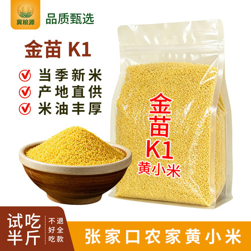 张家口2025金苗K1黄小米