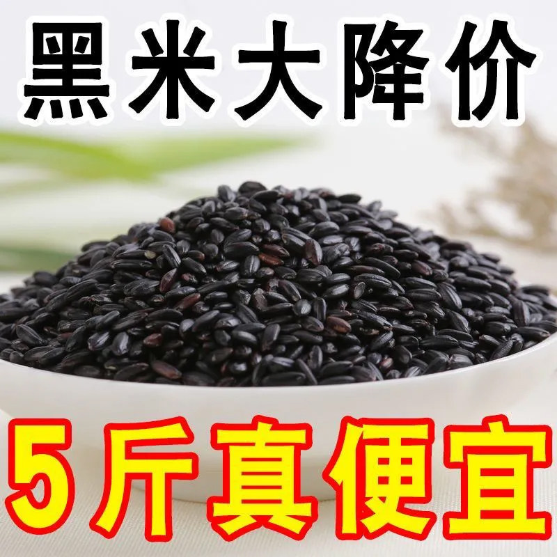 东北黑米5斤新货农家黑米五常黑香米黑大米粥料紫米五谷杂粮糯米