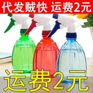 园艺壶洒水壶浇花多肉小物喷雾壶 家用植消毒喷水壶喷浇水壶手压式