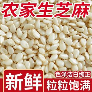 新货脱皮去皮生白芝麻烧烤烘焙饱满免洗干净无沙即食新鲜商用净重