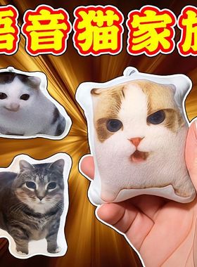 希特猫玩偶大家族发声挂件按压发声玩具德语小猫meme语音挂件玩偶