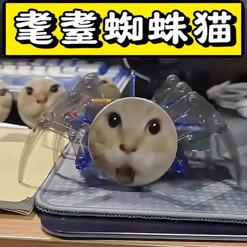 耄耋猫蜘蛛猫手工拼装材料diy猫咪表情包猫meme玩具机械爬行模型