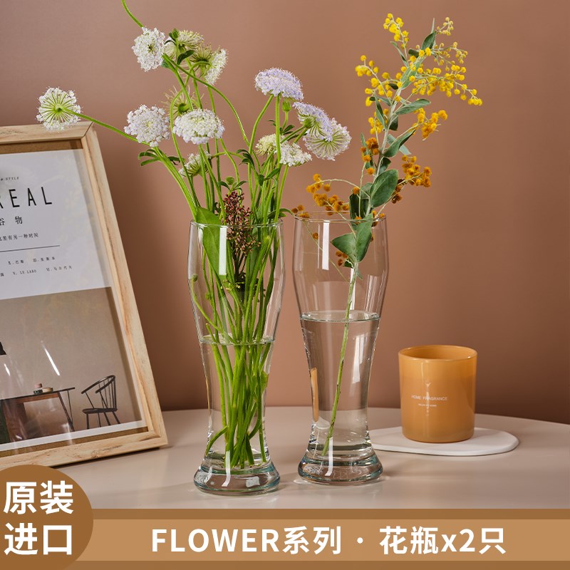 包邮帕莎帕琦进口玻璃花瓶客厅摆件富贵竹水培插花干花瓶绿植装饰