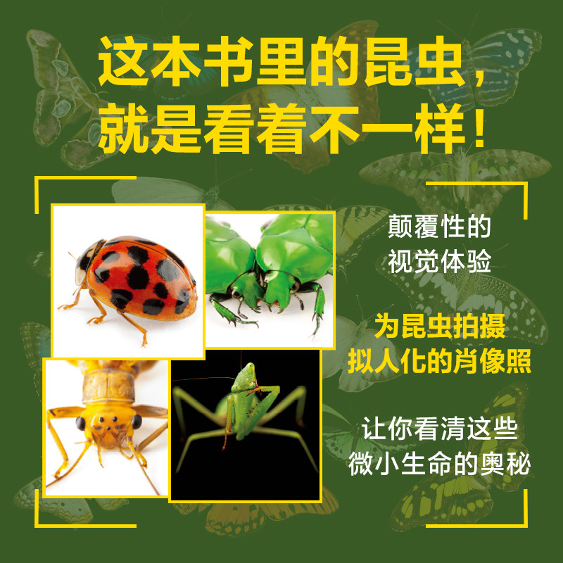 神奇昆虫大图鉴国家地理影像方舟