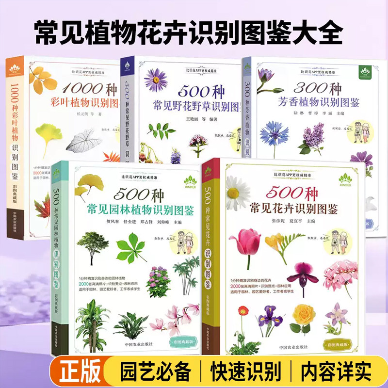 正版 500种常见园林植物识别图鉴彩图典藏版 景观园林植物图鉴常见园林树木识别植物分类与应用花草树木鉴别鉴赏方法园林绿化书籍