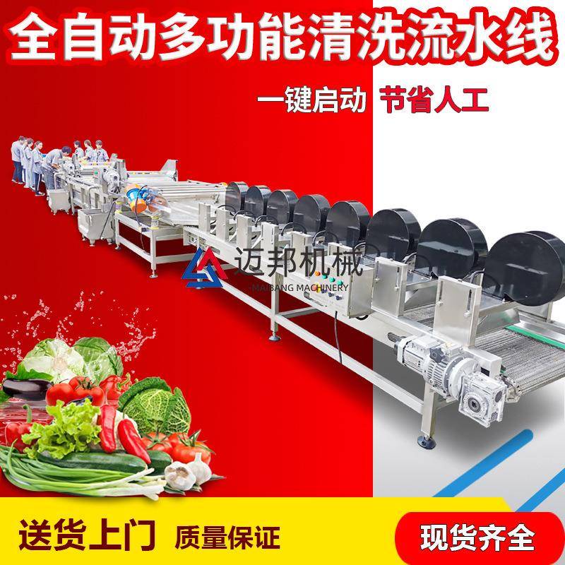 清ISM洗机蔬菜花瓣自出料洗洗解智冻能排骨动机机清机气泡洗菜机