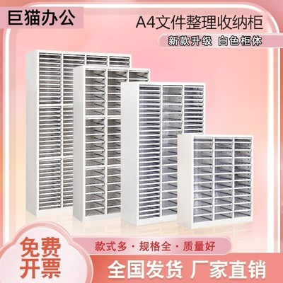 巨猫钢制抽屉式文件柜
