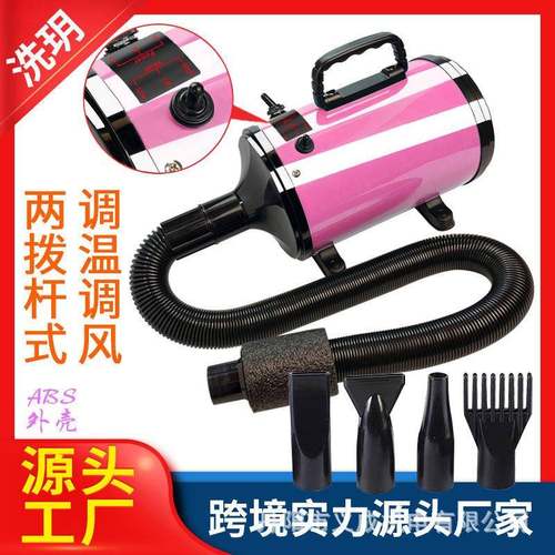 跨境大功率宠物吹风机宠物吹水机宠物烘干机洗车快速吹水烘干机