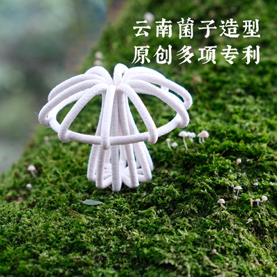 【J人必入】特写｜压纸菌体验装【压纸菌+云南精品咖啡豆100g】