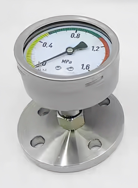 YTP100ZBF/MF轴向不锈钢隔膜压力表DN25法兰膜片可选316/Ta/Hc276