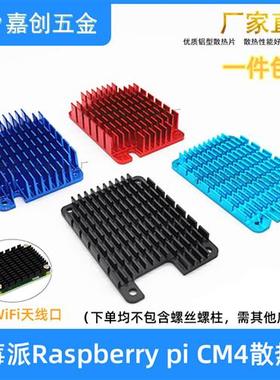 树莓派Raspberry Pi CM4铝散热片Compute Module4黑色散热器 定制
