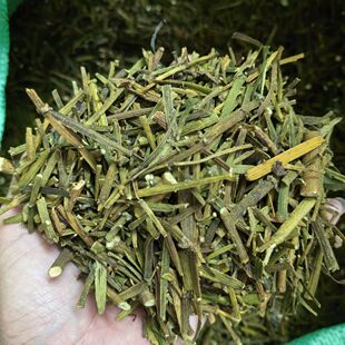 枫树寄生螃蟹脚云南深山原生态枫香树寄生茶野生枫木螃蟹脚纯天然