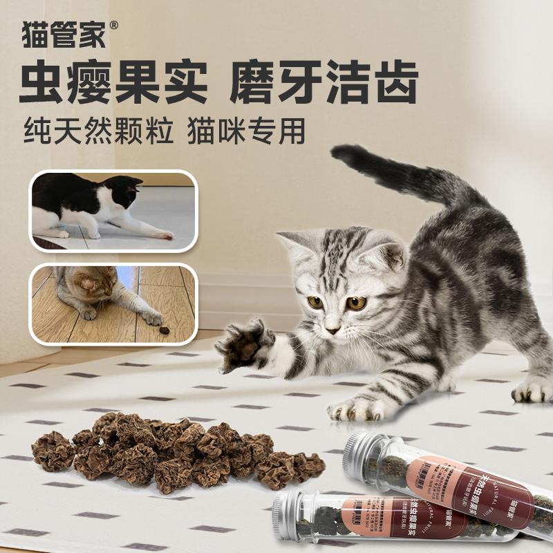 虫瘿果颗粒玩具猫洁牙木天蓼