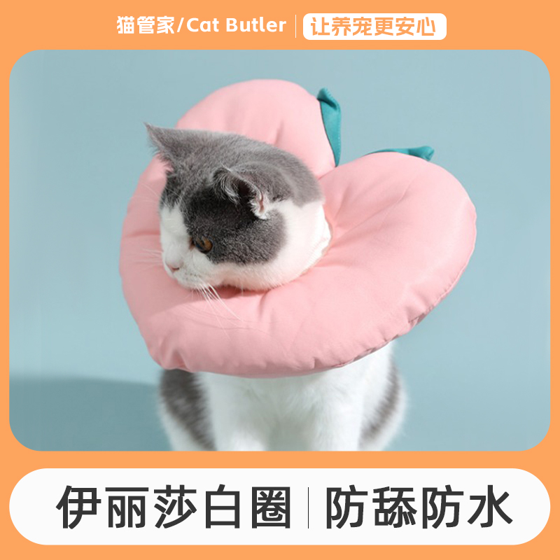 伊丽莎白圈猫咪项圈猫猫围脖头套