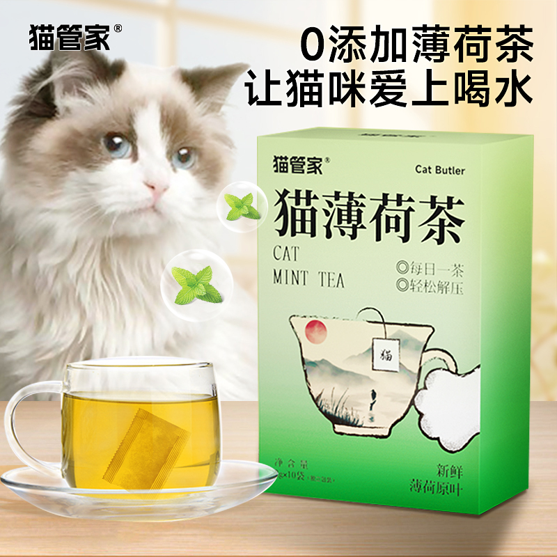 天然可食用猫爱上喝水猫薄荷喝水