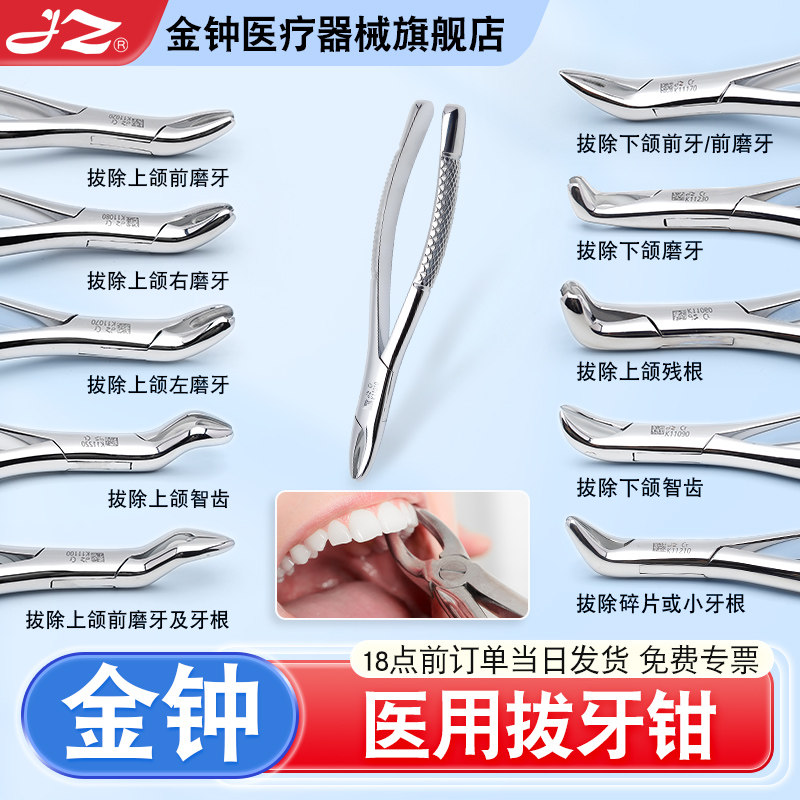 【官方旗舰店】金钟不锈钢拔牙钳