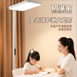 初诚家学习专用护眼灯大路灯 学生儿童书桌阅读落地大陆灯