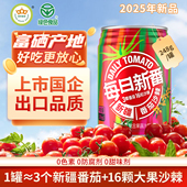 冠农股份新疆番茄汁沙棘果蔬汁248ml 12罐西红柿代餐饮料