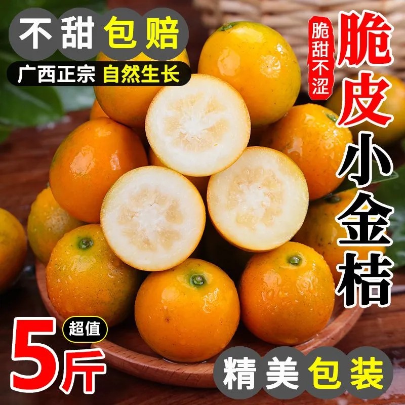 正宗广西脆皮金桔新鲜纯甜无籽当季滑金桔皮大果孕妇可食纯甜包邮