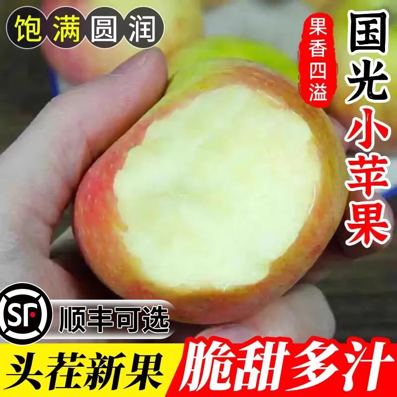 小国光东北辽宁盖县酸甜新鲜青苹果孕妇青红水果整箱批发国光苹果