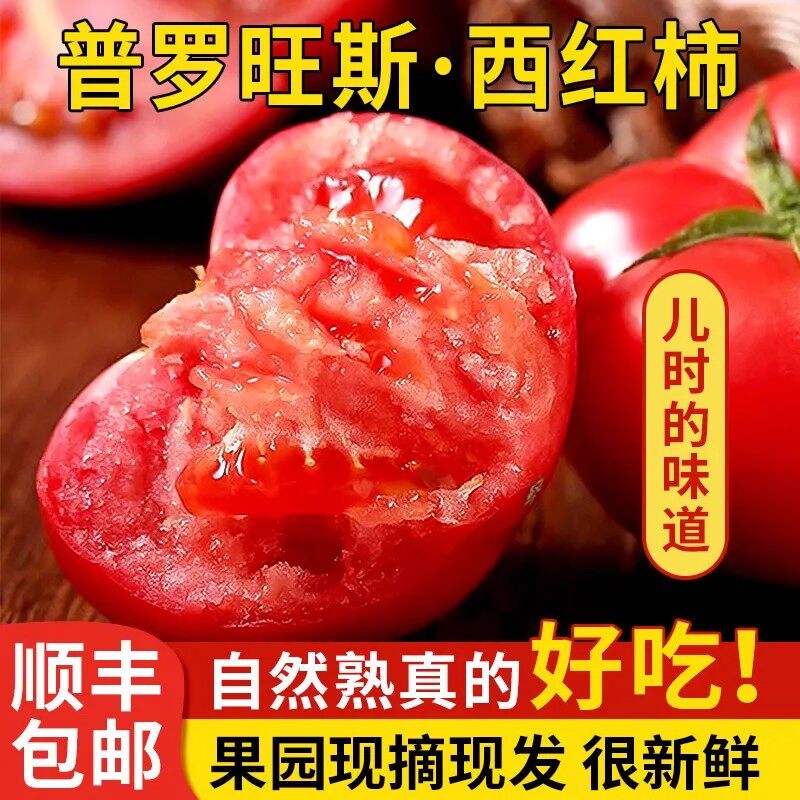【普罗旺斯西红柿】山东海阳新鲜沙瓤大番茄生吃水果蔬菜粉柿子