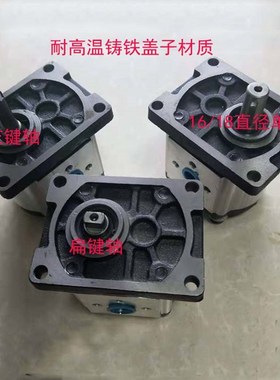 铸铁齿轮泵CBT-F304,CBT-F306,CBT-F310,F314,CBT-F316,F320,F325