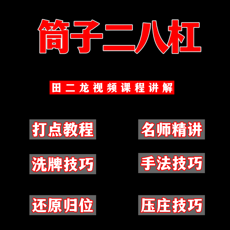 田二龙筒子二八杠洗牌码牌认牌方子还原归位压庄技巧筛子手法 办公设备/耗材/相关服务 刻录盘个性化服务 原图主图