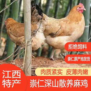江西特产正宗崇仁麻鸡礼盒国品麻鸡年货礼盒送礼好选择好味道