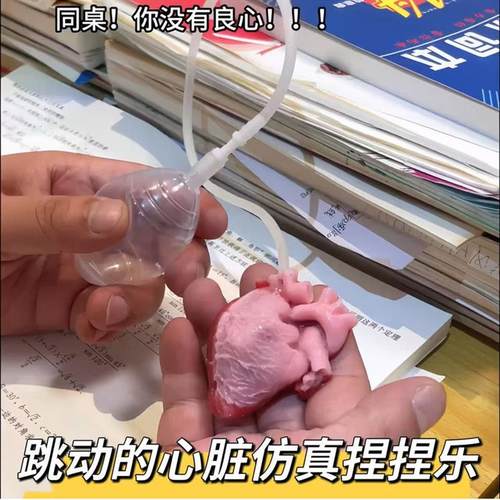 跳动的心脏捏捏乐玩具仿真心脏器官模型实验标本解压神器整蛊朋友