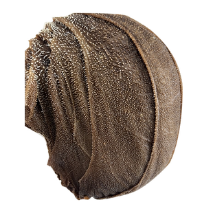 毛肚新鲜整个5斤包邮商用批发牛百叶黑千层肚大叶片牛肚火锅食材